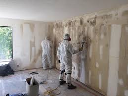 Mold Remediation for Vacation Homes in Wooster, OH